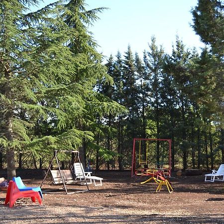 B&B Le Stagioni Кастель-дель-Монте Экстерьер фото