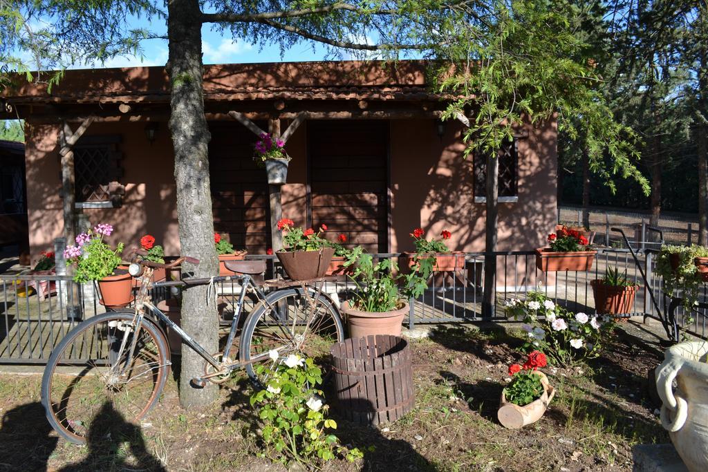 B&B Le Stagioni Кастель-дель-Монте Экстерьер фото